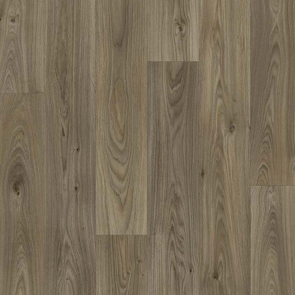 Apollo Vinyl Gambel Oak 619d  Vinyl